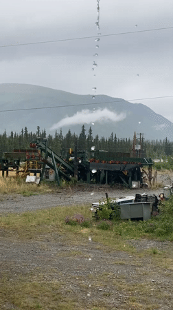 Rainy day at a rural Haines Junction homestead in summer