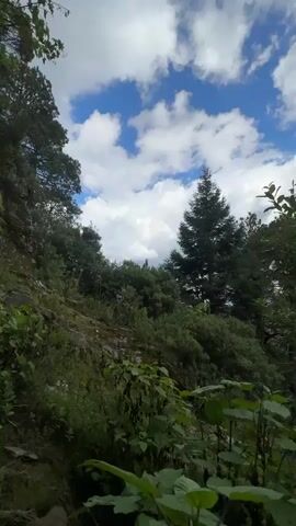 The video shows a rocky cliff face covered in lush green foliage. A dark cave entrance is visible at the base of the cliff. The sky above is blue with scattered white clouds. The camera pans across the scene, highlighting the natural beauty of the environment.