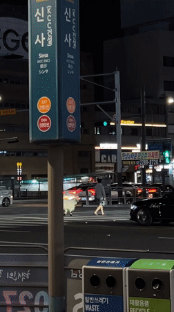 Nighttime Seoul transit area captured on video