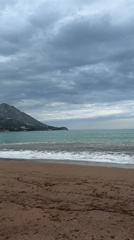 Photographer documents cloudy afternoon at Boreti beach with dog companion