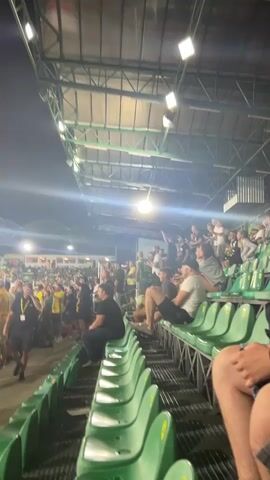 A crowd of people wearing yellow and black attire are gathered in a stadium. They are seated in green stadium seating, some are standing and cheering. The stadium lights are on, and there appears to be smoke or fog in the background. The atmosphere is energetic and celebratory.