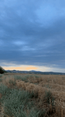 Parked in a wheat field at dusk, watching the storm clouds roll in