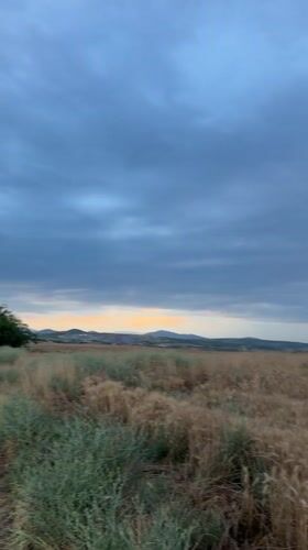 Parked in a wheat field at dusk, watching the storm clouds roll in