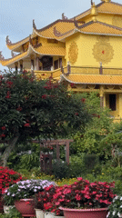 Golden Buddhist temple documented in Da Lat gardens