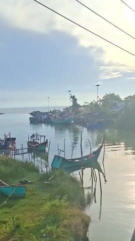 The video captures a serene view of a harbor with several boats docked. The water is calm, reflecting the clear blue sky and the surrounding greenery. The boats, painted in various colors, are moored along the shore and in the water. Some are small fishing boats, while others appear larger and more robust. The shoreline is lined with lush vegetation, including tall grasses and trees. In the background, a few buildings and structures are visible, suggesting a small coastal village or town. The overall atmosphere is peaceful and tranquil, evoking a sense of rural coastal life.