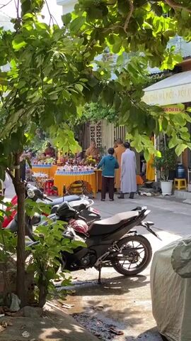 The video captures an outdoor scene with a street lined with buildings and foliage. In the foreground, several motorcycles are parked, partially obscured by a large tree with green leaves. The street appears to be a walkway or a narrow road. In the background, a temporary setup with tables draped in yellow cloth is visible, displaying various items, possibly for sale or for a religious ceremony. Several people are present around these tables. Two individuals, one in a light blue shirt and the other in a white robe, are interacting near the tables. Another person in a saffron robe, likely a monk, is standing behind the tables, facing them. More people are visible further down the street, and there are buildings with signs, one of which appears to be in Vietnamese. The overall impression is a bustling street scene with elements of commerce or religious activity. Sunlight filters through the leaves, creating dappled light on the ground.