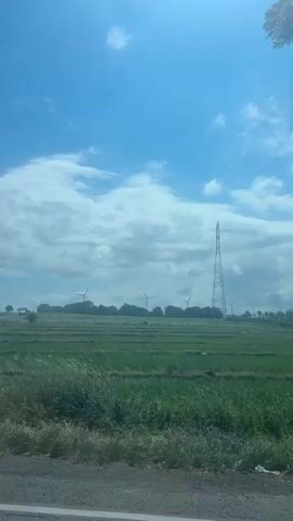 The video shows a view from inside a vehicle. The foreground is dominated by a large tree on the right side, with its branches and leaves obscuring part of the scene. To the left of the tree, a white car is parked, with its side facing the camera. Beyond the tree and the car, there is a vast green field that appears to be a rice paddy, with rows of plants stretching into the distance. In the background, under a bright, partly cloudy sky, several wind turbines are visible on the horizon, suggesting an open, rural landscape. The sun is shining, creating bright light and some lens flare. The camera is stationary, capturing a static scene. There are no people or visible actions taking place in the video.