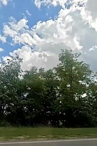 The video shows a view from a moving vehicle looking out towards a line of trees and a partly cloudy sky. The trees are dense and green, with some appearing taller than others. The sky is blue with large, fluffy white clouds. The camera angle suggests the vehicle is driving on a road, and a portion of another vehicle's black exterior, including a window, is visible in the lower right section of the frame during the initial frames. The overall impression is of a sunny day with scattered clouds, viewed from a roadside perspective.