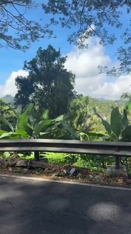 The video shows a view from a car driving on a paved road. The road is bordered by a metal guardrail and lush green vegetation, including large banana leaves and trees. In the distance, hills are visible under a bright blue sky with scattered white clouds. The first few seconds show a static view of the scenery, including a tree and the guardrail. Then, the perspective shifts to the car's side mirror, reflecting the road and vegetation passing by. The final seconds show the road ahead, with a person walking on the right side and a motorcycle approaching from the opposite direction. The overall environment appears to be tropical and rural.