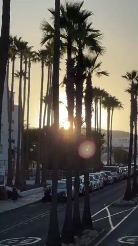 The video captures a street lined with palm trees, with a building on the left and a row of parked cars on the right. The sun is setting, casting a warm glow through the palm fronds and creating a silhouette effect. The sky is a pale yellow and orange, indicating dusk. A motorcycle is parked on the sidewalk on the left. The scene appears to be a vacation destination.