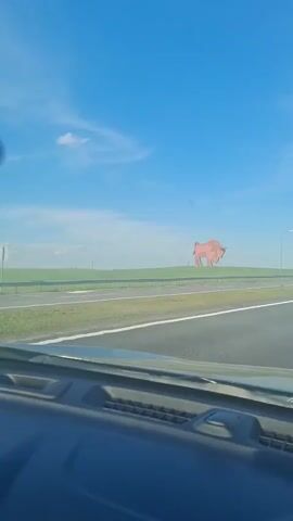 The video shows a vast, open landscape under a bright blue sky dotted with scattered white clouds. A smooth, asphalt highway stretches into the distance, with white lane markers visible. On the right side of the highway, there are streetlights and orange traffic cones along the shoulder.

In the middle ground, a large, reddish-brown sculpture of a bison stands prominently on a grassy hill. The sculpture appears to be made of metal and is quite striking against the green fields and blue sky. The perspective suggests the video is filmed from inside a moving vehicle, looking out through the windshield. The dashboard of the vehicle is partially visible in the foreground.

The scene appears to be set during the daytime, given the bright sunlight and clear sky. The overall impression is one of a road trip through a rural, open area in Belarus, with a notable landmark appearing in the distance. There is no discernible text in the video.