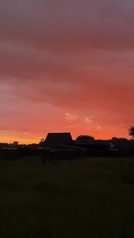 A static vertical shot shows a tranquil rural landscape at sunset. The sky, a dominant feature, is painted with vibrant hues of orange and red, indicating either sunrise or sunset. A few scattered, darker clouds are visible, adding texture to the colorful expanse. Below the sky, the silhouettes of several houses and other structures stand against the dramatic backdrop, their forms dark and featureless. The foreground is dominated by a field of tall, dark green grass, appearing almost black in the low light, suggesting the time of day and adding to the serene atmosphere. The overall impression is one of peaceful rural beauty.