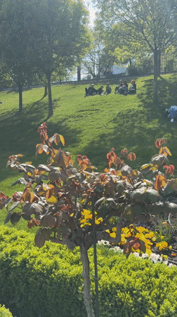 Tourist documents scenic Budapest walking tour on sunny April day