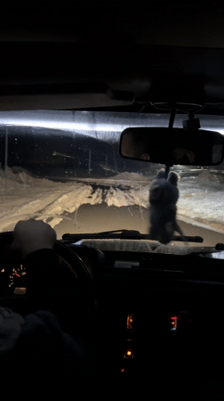Driver navigates snowy roads in Mozhga, Russia
