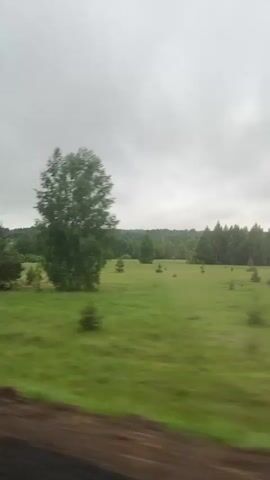The video depicts a green field dotted with trees, captured from a moving vehicle. The sky overhead is overcast, with a layer of gray clouds. The foreground shows the roadside dirt. The camera moves past the landscape, blurring the details of the trees and grass due to the motion.