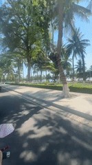 Motorbike ride through Nha Trang streets captured on video