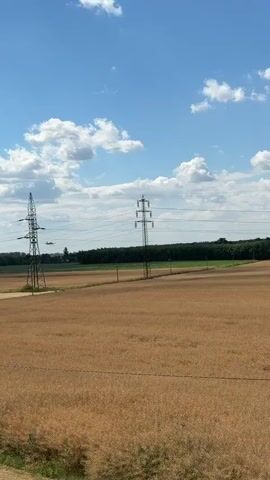 The video shows an outdoor scene on a sunny day with a blue sky and white clouds. In the foreground, there is a dry, yellowish field, possibly wheat or hay. Two large power line towers are visible, one on the left and a taller one in the center. Several power lines stretch across the frame, connecting the towers. In the middle ground, there is a dark green line of trees forming a treeline. In the sky, a small, yellow airplane is flying. The airplane appears to be moving from left to right across the frame. The camera is positioned low, looking up at the sky and the airplane. The scene is natural and rural.