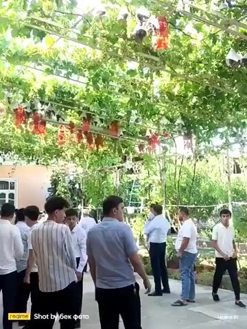 A group of men and boys are standing under a covered area. The area is covered by a canopy of green leaves and vines, with red and white decorations hanging from it. The people are dressed in casual clothing. Some of the men are wearing white shirts, and one is wearing a blue shirt. The boys are wearing white shirts. In the background, there are trees and plants. The ground is paved. Some people are standing and some are sitting. There are potted plants in the background. The video appears to be taken outdoors on a sunny day. The timestamp on the video is 00:00 to 00:04.
