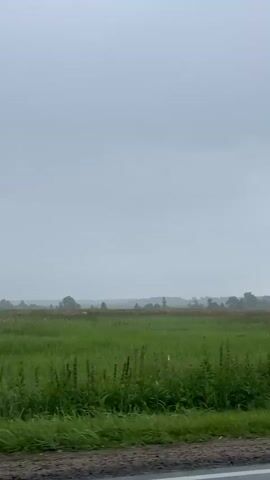 The video shows a view from a vehicle traveling along a road. On the right side of the road is a green grassy field with some trees and bushes scattered throughout. The sky is overcast and gray. The road itself appears to be paved with a dirt shoulder on the right side. The camera pans slowly to the left, revealing more of the landscape.