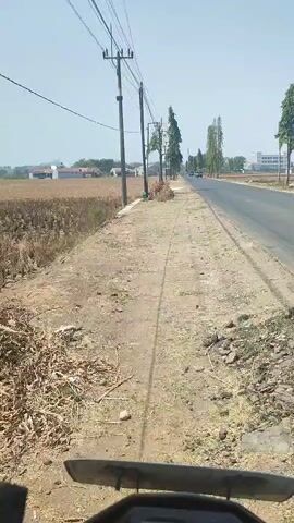 The video shows a first-person perspective of someone riding a motorcycle on a rural road. The road is paved and appears to be a two-lane highway. To the left of the road is a dirt path and a field with dry, harvested crops. Tall utility poles with power lines run along the left side of the road. Several tall, slender trees are planted at intervals along the right side of the road. In the distance, there are a few buildings and some vehicles on the road. The sky is clear and blue, suggesting a sunny day. The motorcycle's dashboard is partially visible at the bottom of the frame, showing some digital readouts. The overall scene depicts a journey through a sparsely populated, agricultural area on a clear day.