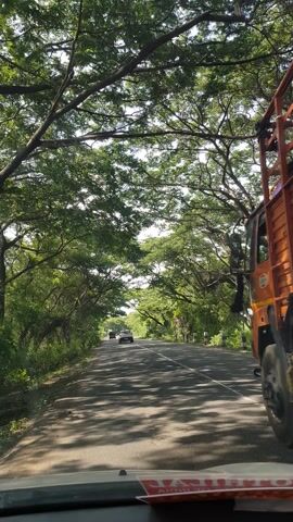 This video captures a journey on a tree-lined road in Kodapattinam, India. The primary focus is a yellow and orange truck carrying several passengers in its open back. The truck is moving away from the camera on a paved road with a white dividing line. Lush green trees with thick foliage flank the road, creating a canopy that casts dappled shadows on the asphalt, suggesting a bright, sunny day.

Other vehicles are visible in the distance, indicating ongoing traffic. A white car is seen ahead of the truck, and another smaller vehicle is further down the road. The presence of people on the truck, seemingly traveling together, hints at a local mode of transport or a communal journey. The overall scene evokes a sense of everyday life in a rural or semi-rural Indian setting, characterized by natural beauty and the flow of traffic.

On the side of the truck, a green banner with some text and images is visible, though the details are not clear enough to read. To the right of the frame, a portion of a white surface with red text is visible, possibly part of a vehicle or a sign, but the text is also indistinct. The time of day is likely midday due to the bright sunlight and strong shadows. The weather appears to be clear and warm, suitable for outdoor travel. No specific emotions are conveyed, but the scene is peaceful and ordinary.