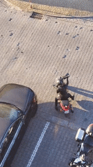 Urban afternoon: motorcyclist struggles, cat rests, sunny street scenes