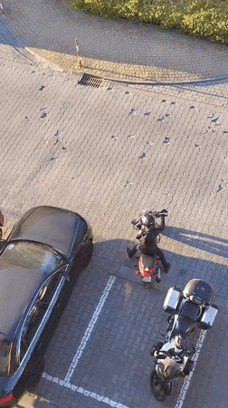 Urban afternoon: motorcyclist struggles, cat rests, sunny street scenes