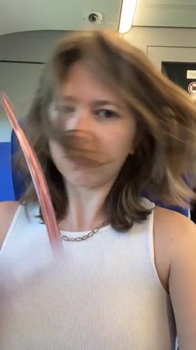 Train passenger adjusts hair, takes selfie in Zemun