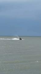 Dog plays on Batumi beach amid construction backdrop