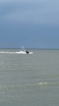 Dog plays on Batumi beach amid construction backdrop