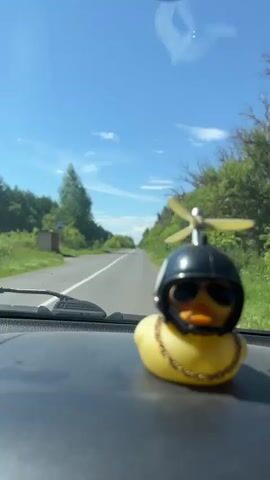 This video shows a close-up shot of a yellow rubber duck with a propeller on its head, sunglasses, and a gold chain. The duck is sitting on the dashboard of a car. The view through the windshield shows a road stretching into the distance, with trees and greenery on either side. The sky is blue with a few wispy clouds. The video appears to be taken while the car is in motion.