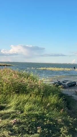 The video opens with a close-up of tall, green grass and reeds swaying in the wind in the foreground. Beyond the grass, a body of water stretches to the horizon under a clear blue sky with a few scattered white clouds. The water is choppy, indicating wind. In the middle distance, two small figures, likely people, are visible in what appear to be small boats or kayaks on the water, moving from left to right across the frame. Closer to the shore, in the right foreground, there is an inflatable boat lying on its side on the sandy bank. A narrow dirt path leads from the foreground towards the water. The overall scene depicts a breezy day at a lake or coastal area with recreational activity taking place on the water.