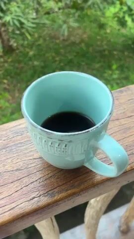 The video opens with a medium shot of a light blue mug filled with a dark liquid, likely coffee or tea, placed on a wooden surface. The background is intentionally blurred, featuring greenery such as grass and small trees.  The camera then shifts its focus upward, revealing a tree with green and light green leaves against a partly cloudy sky. The trees and vegetation suggest a natural outdoor setting, possibly a garden or forest.