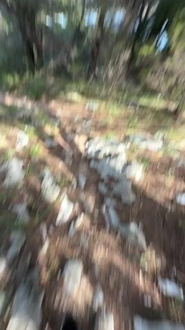 The video shows a ground-level view of a rocky dirt path going downhill through a forest. The path is covered in small rocks and fallen pine needles, and is partially shaded by trees. The forest consists of tall, thin trees with green needles. The ground around the path is covered in sparse grass and brush. In the background, there is a glimpse of a distant landscape. The camera appears to be moving forward down the path.