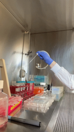 Lab researcher conducts experiments in Haifa biological safety cabinet