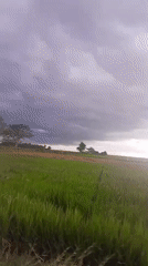 Rural landscape filmed from moving vehicle in Indonesia