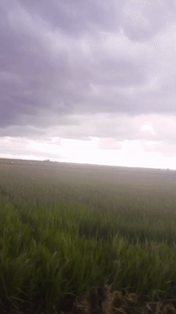 Rural landscape filmed from moving vehicle in Indonesia