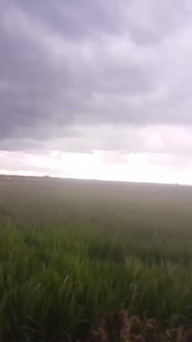 The video shows a green field under a cloudy sky. The camera is moving, possibly from a car, and captures the passing landscape. The focus shifts between the field and the overcast sky, at times becoming blurry. In the distance, trees are visible, silhouetted against the horizon. The overall impression is of a rural area under a cloudy sky.