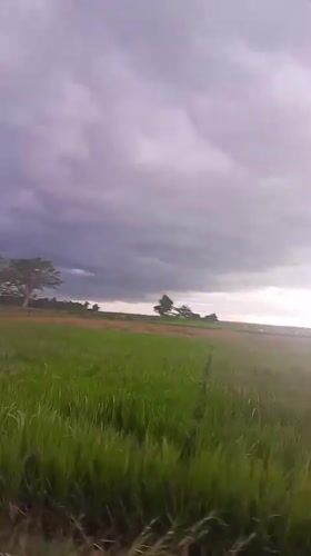 Rural landscape filmed from moving vehicle in Indonesia