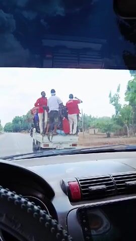 The video is shot from inside a car driving on a road in what appears to be a rural or semi-rural area. The camera focuses on a white pickup truck ahead. The truck bed is full of people, at least ten visible, some wearing red shirts and white pants. Some are standing, cheering, with one man raising his arm in the air. Palm trees line the side of the road. Small houses and structures are visible beyond the trees. The sky is overcast.