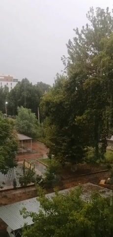 This is a video recording of an outdoor scene, likely a residential area, during a rainstorm. The foreground shows the corrugated metal roofs of buildings, partially obscured by green foliage. Beyond these roofs, a playground area is visible. This area includes a small covered structure with benches, and what appears to be swings or other playground equipment. The ground in the playground is wet, indicating the ongoing rain.

Further in the background, a large deciduous tree with full green foliage dominates the right side of the frame. Its leaves appear to be weighed down by the rain. To the left of this tree, more trees and vegetation form a dense backdrop. A modern-looking building with a light-colored facade and several floors stands in the distance, partially visible through the trees. Streetlights can be seen along a road or pathway.

The weather is clearly rainy, with visible streaks of rain falling through the air. The sky is overcast and a dull gray, suggesting it is either early morning, late afternoon, or simply a very cloudy day. The overall atmosphere is one of a quiet, wet day in a suburban or urban environment. No people are clearly visible, but the presence of benches and playground equipment suggests it is a place where people would typically gather. The location context is Kokand, Uzbekistan. There is no visible text in the video.