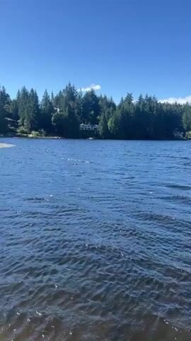 The video shows a wide, blue lake with ripples on its surface. The sky above is clear and blue, with a few white clouds visible towards the horizon. Along the far shore of the lake, there is a dense line of evergreen trees. Several houses are nestled among the trees, some with white walls and dark roofs. In the distance, the land slopes upwards and is covered with more trees. The overall scene is tranquil and natural, suggesting a peaceful setting by a lake.