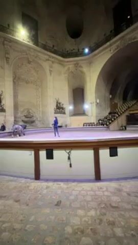The video shows a circular arena within a stone building. A person in blue clothing walks around in the arena in front of a horse.  A raised platform around the arena has a brown wooden barrier.  A tiered seating area on the far side of the arena is partially visible. The arena is lit by bright spotlights. The building's architecture includes arches, alcoves with statues, and an elaborate inscribed wall decoration. The floor in the foreground is cobblestone. The video is shot from a stationary position.