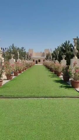 The video shows a pathway lined with potted plants leading to a building. The pathway is covered in artificial grass and is flanked by rows of potted flowering plants and decorative urns, some of which are topped with statues. Trees are visible on either side of the pathway. The building at the end of the pathway appears to be a light-colored structure with decorative crenellations at the top, resembling a castle or fortress. The sky is clear and blue. The camera is moving forward along the pathway.