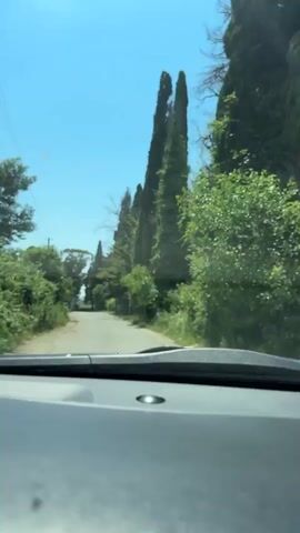 This video captures a drive down a tree-lined road under a clear blue sky, suggesting a sunny day. The view is from inside a vehicle, looking out through the windshield. Tall, slender trees, possibly cypress trees, dominate the right side of the road, creating a sense of enclosure and grandeur. Their dense foliage suggests it's likely daytime, and the bright sky indicates fair weather.

The road itself appears to be paved, and there's a slight incline visible in the distance. On the left side of the road, there's more vegetation, including smaller trees and bushes, and a utility pole with wires can be seen. Further down the road, a white vehicle is visible, indicating it's a functional road with some traffic. The overall scene conveys a peaceful, natural, and somewhat rural or suburban setting. The drive appears to be moving forward, with the perspective shifting slightly as the car navigates the road. No text is visible in the video. The context provided indicates the location is Psakhara, Abkhazia.