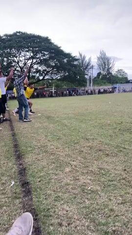 The video shows a group of people, mostly wearing yellow shirts, cheering on a soccer field. A player in a yellow and black uniform is in mid-kick. The field is grassy with a white line marking the edge of the playing area. In the background, there are spectators, trees, and buildings. The sky is overcast. The overall atmosphere appears to be one of excitement and celebration.