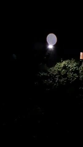 The video is a dark night scene. A bright overhead light source illuminates a patch of green foliage, possibly bushes or trees, in the center right of the frame. The foliage appears dense and textured. To the right of the foliage, a cylindrical object, possibly a post or a part of a structure, is visible. The foreground and much of the left side of the frame are obscured by darkness. There is a circular lens flare, common in night photography, in the upper center of the frame, directly above the light source.