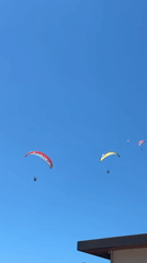 Paragliders soar over Fethiye as cafe cat charms tourists