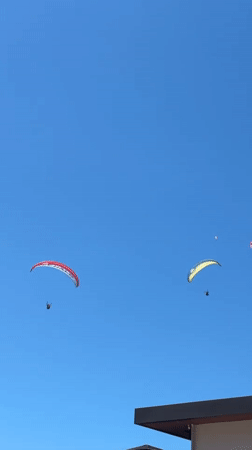 Paragliders soar over Fethiye as cafe cat charms tourists