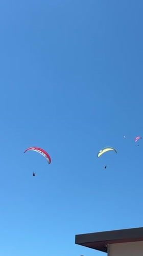 Paragliders soar over Fethiye as cafe cat charms tourists